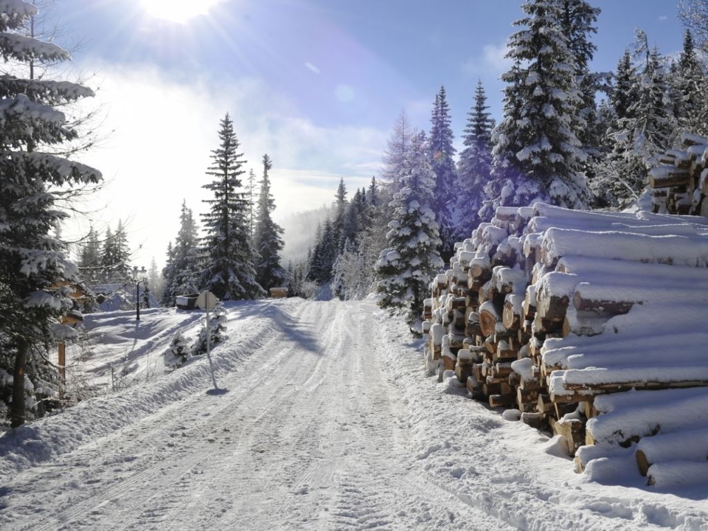 Wintersportpark Landal Salztal Paradies | Landal Ski Life